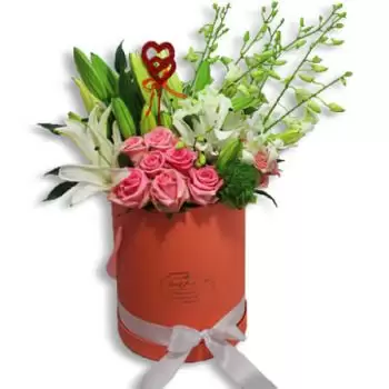 Σαν Χουάν λουλούδια- Λευκή και ροζ αρμονία Λουλούδι Παράδοση