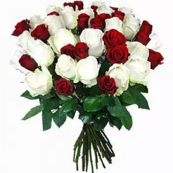 بائع زهور فلورنسا- الورود القرمزية زهرة التسليم