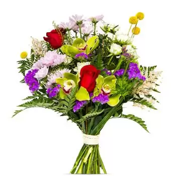 טורמולינוס פרחים- ברצלונה מערבבת פרחים פרח משלוח