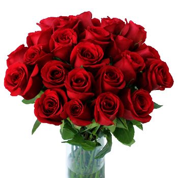 💐 Monte Plata My Fair Lady | 20 Roses rouges sensationnels | LIVRAISON DE  FLEURS MONTE PLATA{SEO_COUNTRY} - MONTE PLATA FLEURISTE