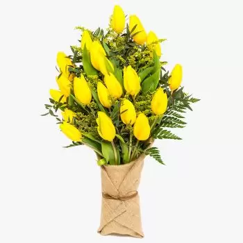 flores de Bruxelas- Estilo Amsterdã Bouquet/arranjo de flor