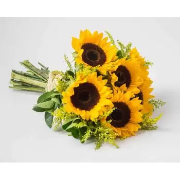 Amapa do Maranhao květiny- Kytice slunečnic Květ Dodávka