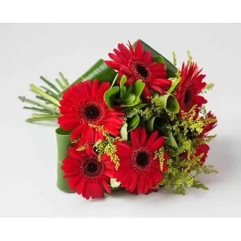 بائع زهور ألبرتينا- باقة من 6 جيربيراس بنفس اللون زهرة التسليم