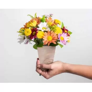 بائع زهور أنديروبا- ترتيب الإقحوانات الملونة وأوراق الشجر زهرة التسليم