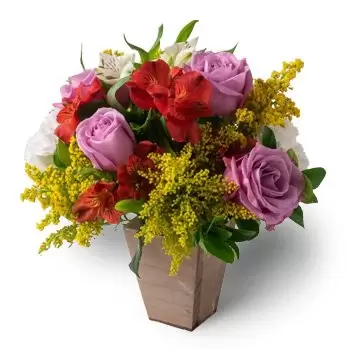 fiorista fiori di Acajutiba- Disposizione bicolore di rose e astromelia Fiore Consegna