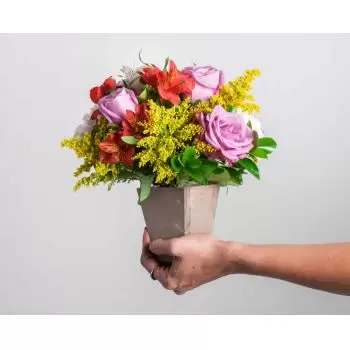 Fortaleza kedai bunga online - Susunan Bicolor Roses dan Astromelia Sejambak