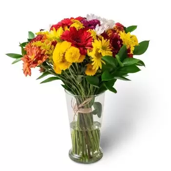 fleuriste fleurs de Abobora- Grand arrangement des fleurs colorées de cham Fleur Livraison