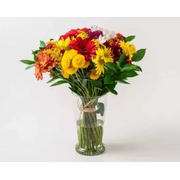 Alfredo Guedes květiny- Velké uspořádání barevných květináčů v květin Květ Dodávka