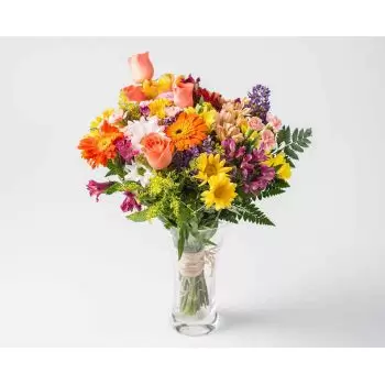 累西腓 花- 五颜六色的盆栽田花的中等排列 花 交付