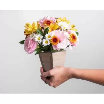 flores Abuna floristeria -  Arreglo de flores de campo coloridas Ramos de  con entrega a domicilio