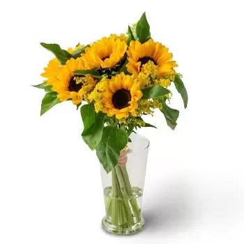 Φορταλέζα λουλούδια- Ηλιοτρόπια σε δοχείο Μπουκέτο/ρύθμιση λουλουδιών