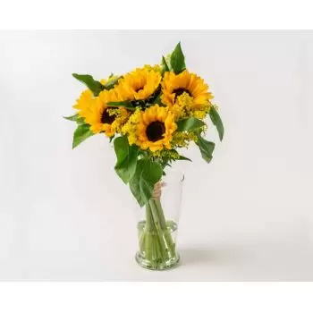 Belém blomster- Pottede solsikker Blomst buket/Arrangement