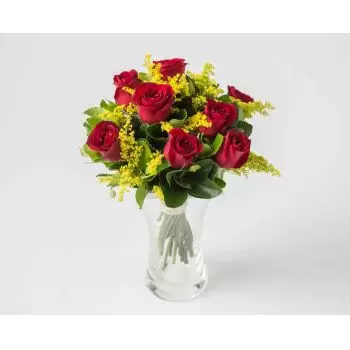Abdon Batista květiny- Uspořádání 8 červených růží ve váze Květ Dodávka