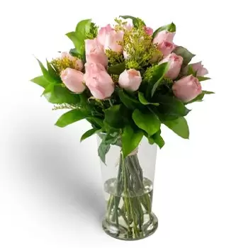 Aguas Mornas flowers  -  Arrangement of 18 Pink Roses and Potted Folia Flower Delivery