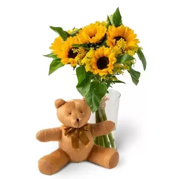 Sao Paulo flori- Floarea-soarelui în vaza si Teddybear Buchet/aranjament floral