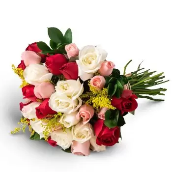 Abel Figueiredo květiny- Kytice 36 tříbarevných růží Květ Dodávka