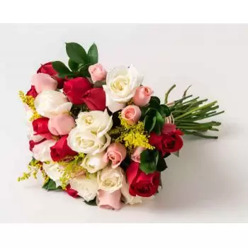 Alambari kukat- Kimppu 36 kolmiväristä ruusua Kukka Toimitus