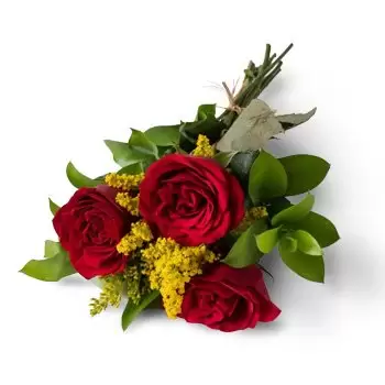 안젤란디아 꽃- 레드 로즈 3개 배열 꽃 배달