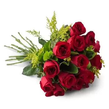 fiorista fiori di Alfenas- Bouquet tradizionale di 17 rose rosse Fiore Consegna