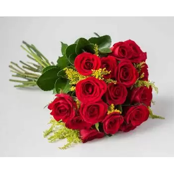 贝洛奥里藏特 花- 19朵红玫瑰的传统花束 花 交付