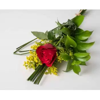 Anapurus květiny- Červená Osamělá růže Květ Dodávka
