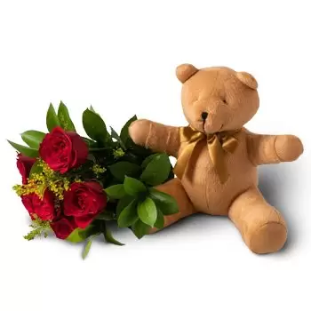 Brazília-virágok- Csokor 6 Red Roses és Teddybear Szállítás