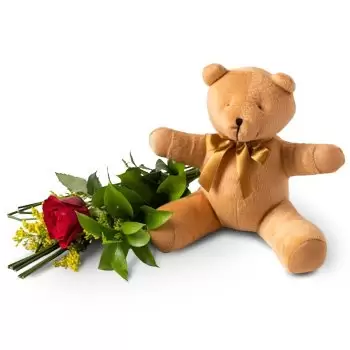 fleuriste fleurs de Amelia Rodrigues- Rose solitaire rouge et teddybear Livraison