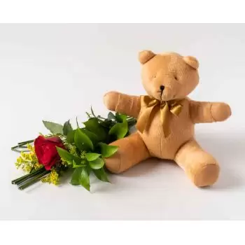 fiorista fiori di Acegua- Rosa solitaria rossa e orsacchiotto Fiore Consegna
