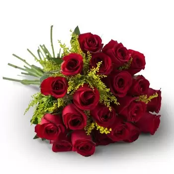 fiorista fiori di Albertina- Bouquet di 20 Rose Rosse Fiore Consegna