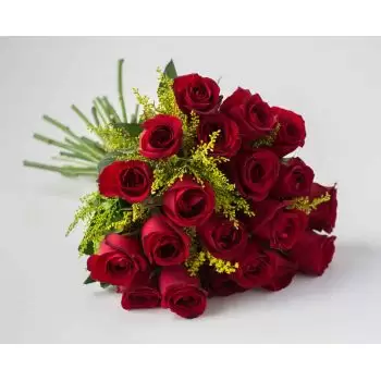 Anhanguera bunga- Buket 20 Mawar Merah Bunga Pengiriman