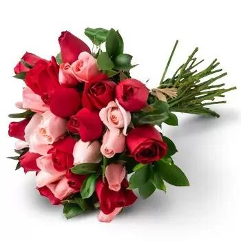 Сальвадор цветы- Букет из 32 двухцветных роз Цветок Доставка