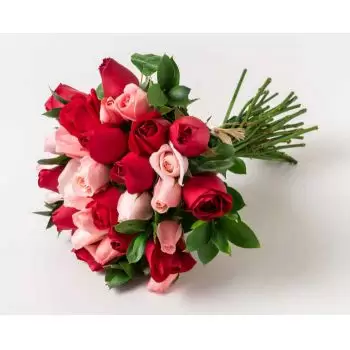 Angico kukat- Kimppu 32 kaksiväristä ruusua Kukka Toimitus