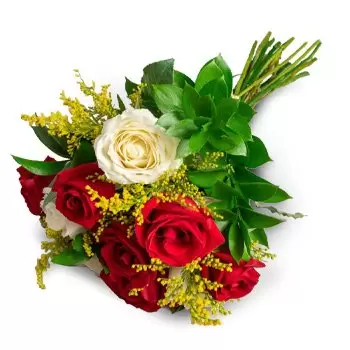 Aguas Brancas Blumen Florist- Bouquet von 10 weißen und roten Rosen Blumen Lieferung