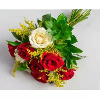 Amatura kukat- Kimppu 10 valkoista ja punaista ruusua Kukka Toimitus