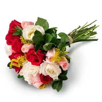 Alem Paraiba bunga- Bouquet daripada 24 Mawar Tiga Warna Bunga Penghantaran
