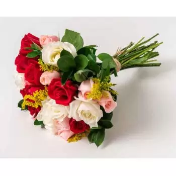 Angicos de Minas kukat- Kimppu 24 ruusua kolme väriä Kukka Toimitus