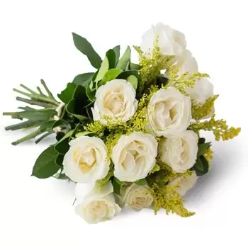 Aloandia bunga- Bouquet daripada 12 Mawar Putih Bunga Penghantaran
