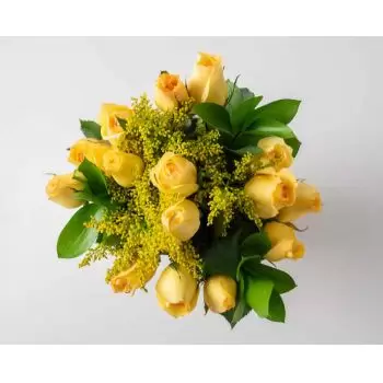 Angicos de Minas kukat- Kimppu 15 keltaista ruusua Kukka Toimitus