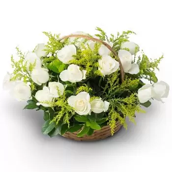 Alvaraes květiny- Košík s 24 bílými růžemi Květ Dodávka
