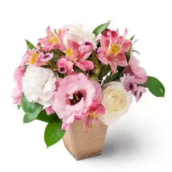 알토 산토 꽃- 카네이션, 장미, 아스트로멜리아의 배열 꽃 배달
