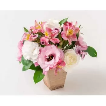 Anama bunga- Pengaturan Anyelir, Mawar dan Astromelia Bunga Pengiriman