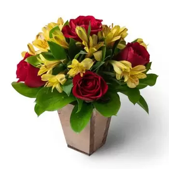 フォルタレザ 花- 赤いバラとアストロエリアの小さなアレンジメント 花 配信