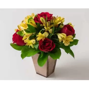 بائع زهور ألفينوبوليس- ترتيب صغير من الورود الحمراء وأستروميليا زهرة التسليم