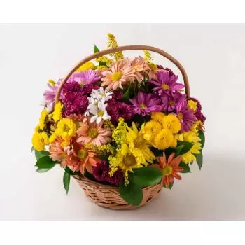Afua flori- Coș de margarete colorate Floare Livrare