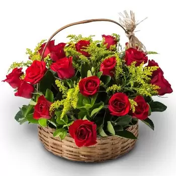 아구아 클라라 꽃- 레드 로즈 28개 바구니 꽃 배달