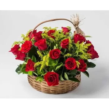 Anahy kukat- Kori 28 punaisella ruusulla Kukka Toimitus