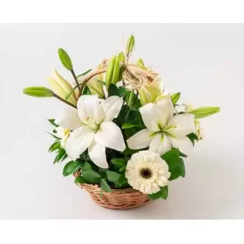 Afonso Cunha květiny- Košík s liliemi a bílými gerberami Květ Dodávka