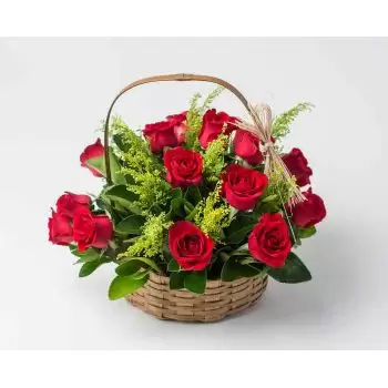 Alfredo Guedes kukat- Kori 15 punaisella ruusulla Kukka Toimitus