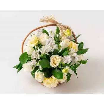 Abadia květiny- Košík bílé pole květiny Květ Dodávka