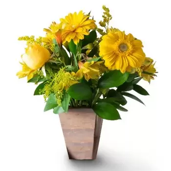 아폰소 쿠냐 꽃- 노란색 필드 꽃 배열 꽃 배달